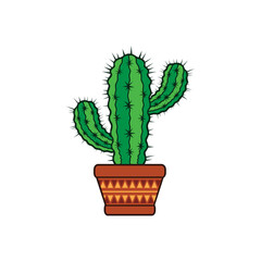 potted stylish cactus