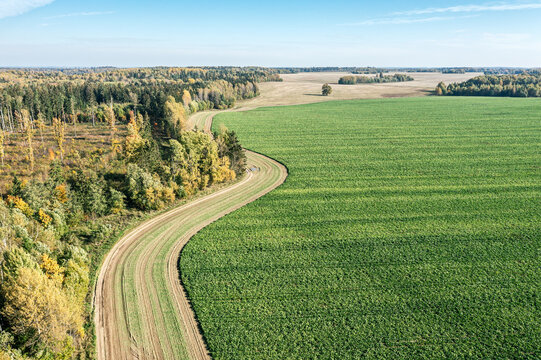 Countryside Landscape With Winding Road Between Green Field And Forest. Aerial Overhead View.