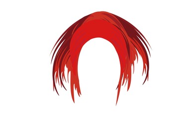 Woman Hair isolated on a white background.