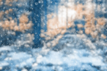  blurred winter forest
