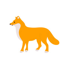 Fox. Cartoon fox illustration.