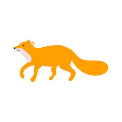 Fox. Cartoon fox illustration.