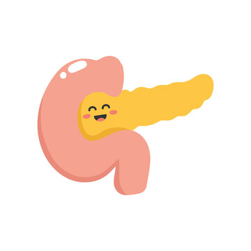 Cute Cartoon Pancreas. Pancreas Illustration.