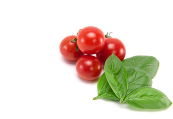 Tomatoes,Basil isolated on white background.