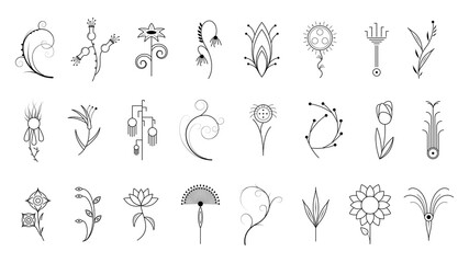 Big Abstract Set Doodle Elements Hand Drawn Collection Botanic Herbal Flora Leaf Branch Vine Flower Plant Elements F Vector Desgin Style © Дмитрий