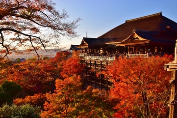 京都の秋　紅葉の清水寺