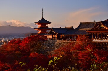 秋の京都　夕暮れの清水寺 - obrazy, fototapety, plakaty