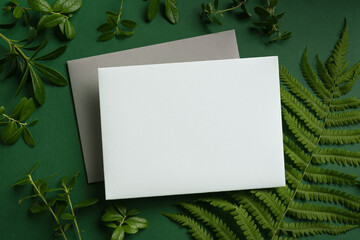 Blank card and  green plants