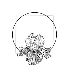 Hand drawn irises floral logo, frame, border, promo element. Brand emblem template. Minimalistic monogram.