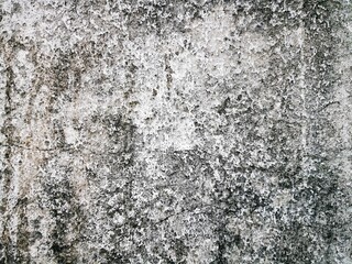  The texture of concrete wall for background.the cement texture of a building  
