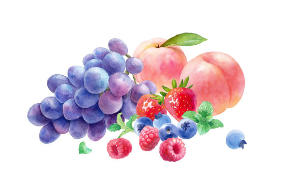 フレッシュな3種のベリーと桃、葡萄の水彩イラスト。ラズベリー、ストロベリー、ブルーベリー、ミント、桃、葡萄の集合。 （背景透過）