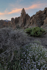 PICO DEL TEIDE - 3.715 m © Joseph Maniquet