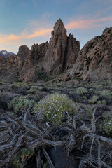 PICO DEL TEIDE - 3.715 m © Joseph Maniquet