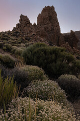 PICO DEL TEIDE - 3.715 m © Joseph Maniquet