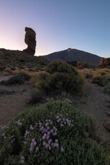 Roques de García - Canary Islands, Spain © Joseph Maniquet
