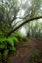 Anaga-Gebirge, Teneriffa