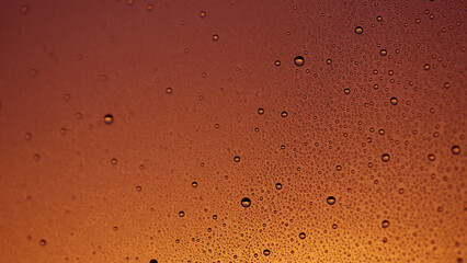 Water drops on window glass with sunset light