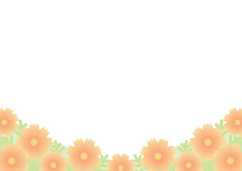 背景　コスモス畑　下側　オレンジ