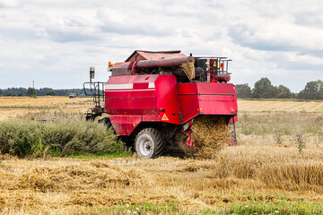 Combine in the field harvests wheat against the blue sky. Close-up.