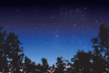 ベクター背景素材_夜空_森