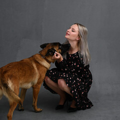 belgian shepherd and woman sits of gray background