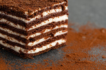chocolate vanilla cake on gray stone