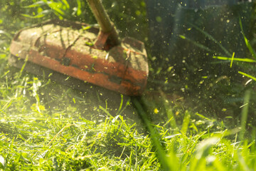 Man mowing the lawn in his garden. Gardener cutting the grass. Lifestyle.