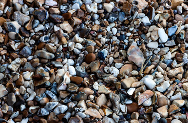 This is a picture of stones on a beach on a sunny day