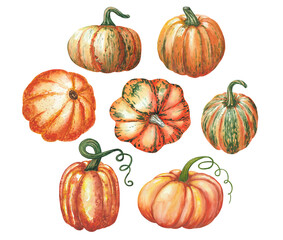 Watercolor pumpkin clipart. Hand painted pumpkins on white isolated background. Botanical autumn illustration for design
