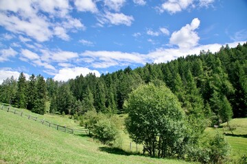 Fototapeta na wymiar Landschaft Südtirol