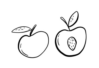 Two peaches or apricots with leaves on a white background. Hand drawn sketch illustrations with fruits. Vector outline summer food. Ideal for prints, sublimation, t shirt, totebag. Black and white