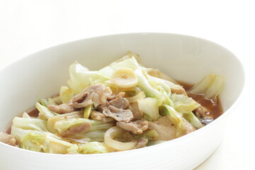 Pork and cabbage stir fried for Chinese stir fried vegetable image