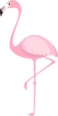 Pink flamingos cartoon character.
