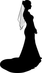 A woman bride in a bridal wedding dress in a silhouette