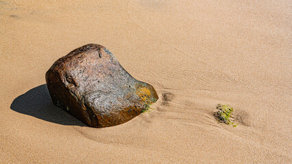 Wet stone on a sandy beach