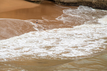 One person on the beach with brawn sand and white waves