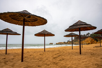 Beach umbrellas on the beach