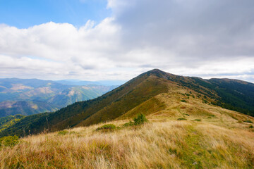 mountain landscape on a cloudy autumn day. peak in the distance. grassy meadows and forested hills