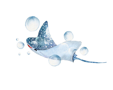 stingrays watercolor with transparent background