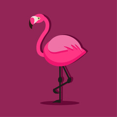 Pink flamingo on a pink background