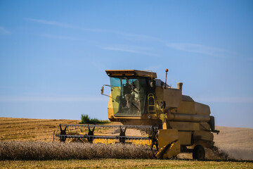 Combine harvester harvests ripe wheat. Agriculture. Selective focus