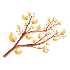 Tree branch with yellow leaves watercolor single element. Template for decorating designs and illustrations.