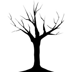  dry tree silhouette, branch without leaves, died plant, transparent png