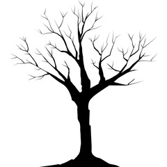  dry tree silhouette, branch without leaves, died plant, transparent png