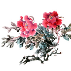 Hand drawn watercolor vector of peonyflowers.