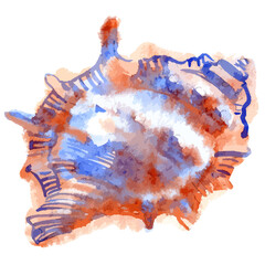 Vector watercolor illustration of colorful seashell
