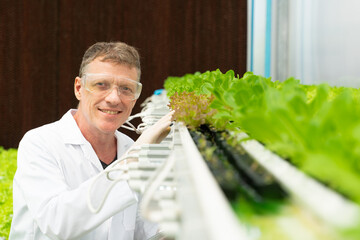 Caucasian male botanist, geneticist, or scientist in white coat and eyeglasses holding clipboard observes about growing green plants in water without land on hydroponics farm.
