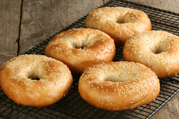 fresh bagels cooling on a ack