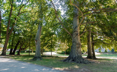  Maschteich, Maschpark in Hannover