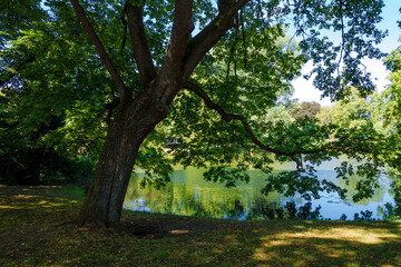  Maschteich, Maschpark in Hannover
